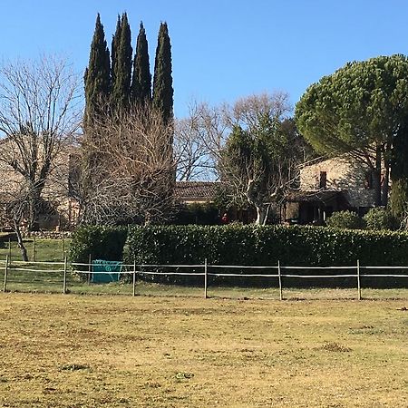 Podere Conte Racani Amelia Bagian luar foto