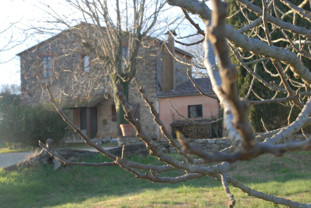 Podere Conte Racani Amelia Bagian luar foto