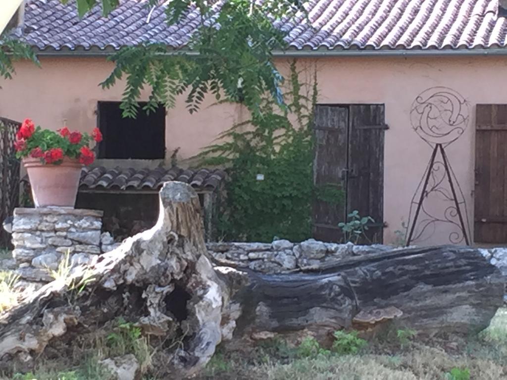 Podere Conte Racani Amelia Bagian luar foto