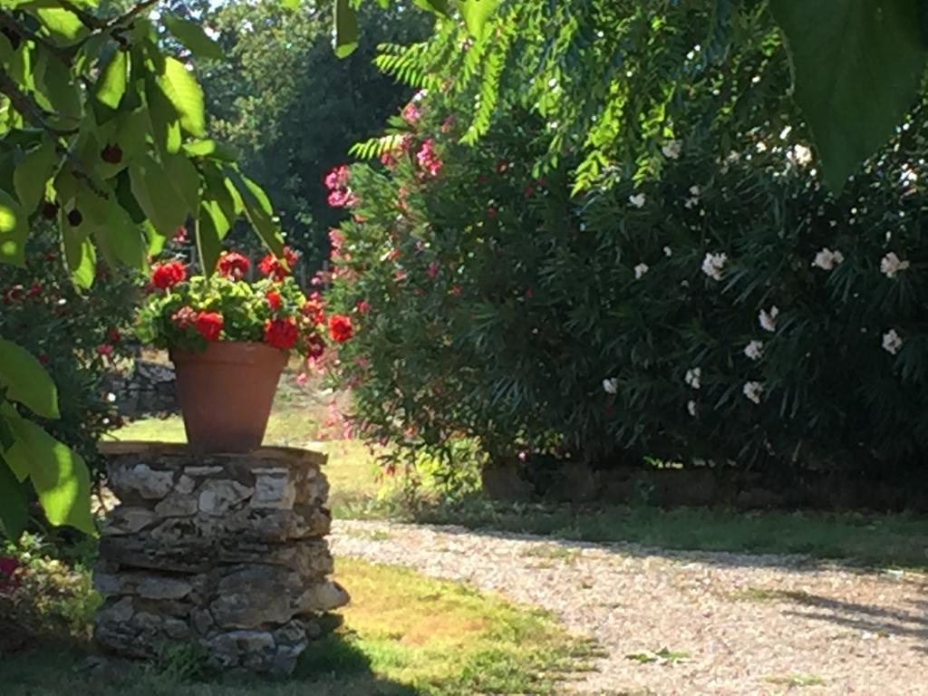 Podere Conte Racani Amelia Bagian luar foto