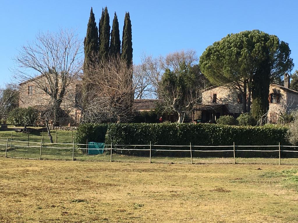 Podere Conte Racani Amelia Bagian luar foto