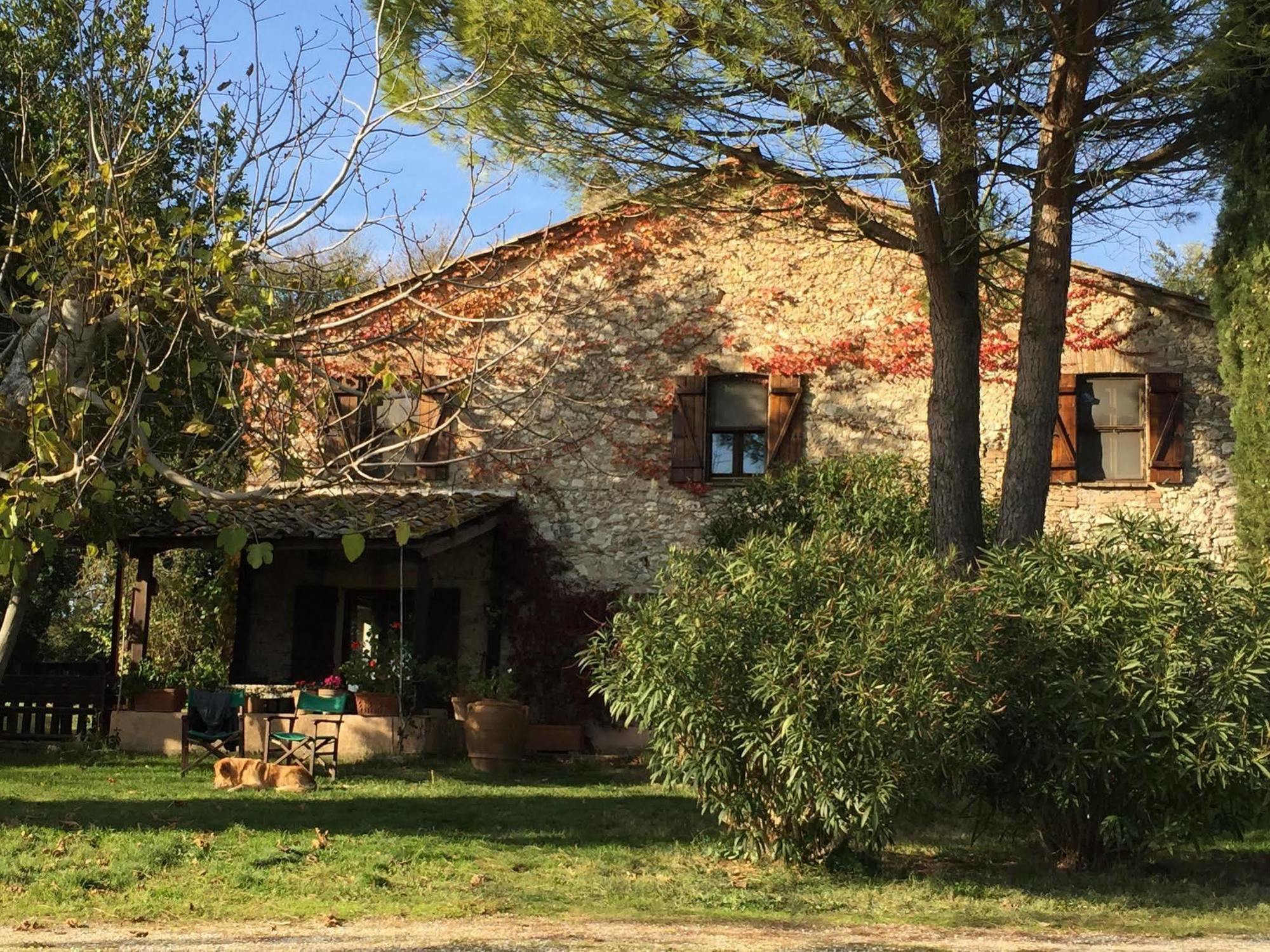 Podere Conte Racani Amelia Bagian luar foto