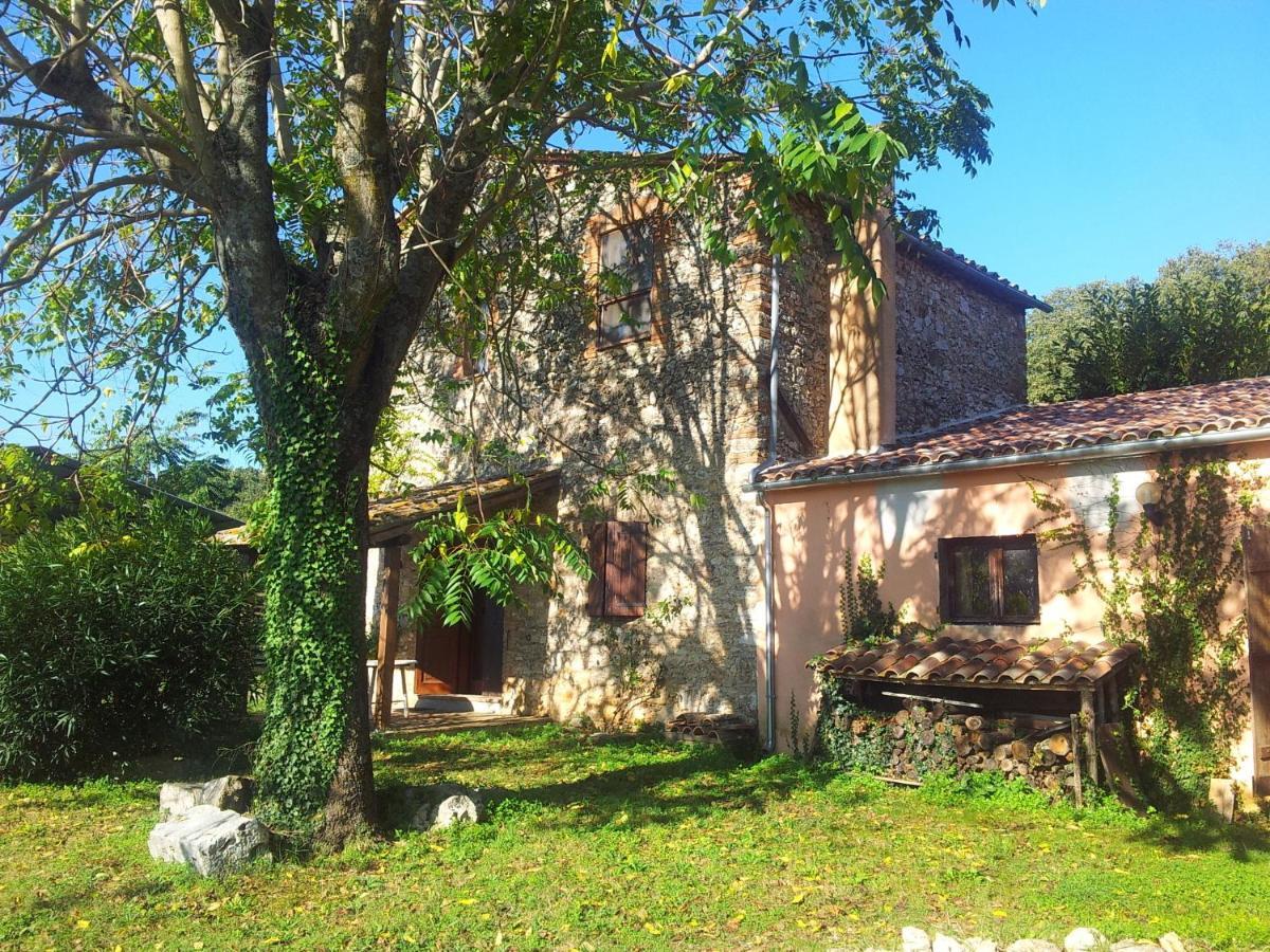 Podere Conte Racani Amelia Ruang foto